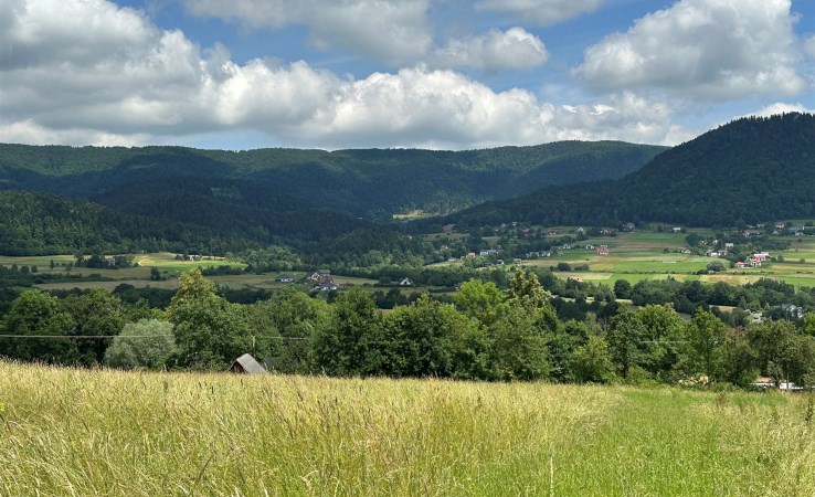 działka na sprzedaż - Limanowa (gw), Pisarzowa